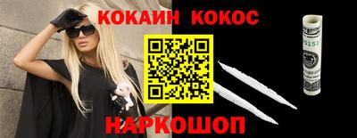 гашик Кингисепп