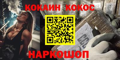 гашик Кингисепп