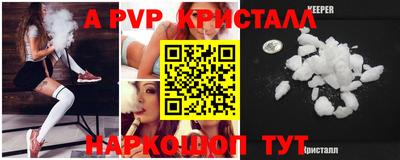 гашик Кингисепп