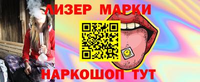 гашик Кингисепп