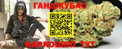 гашик Кингисепп