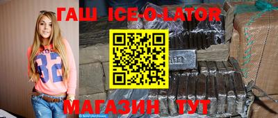 гашик Кингисепп