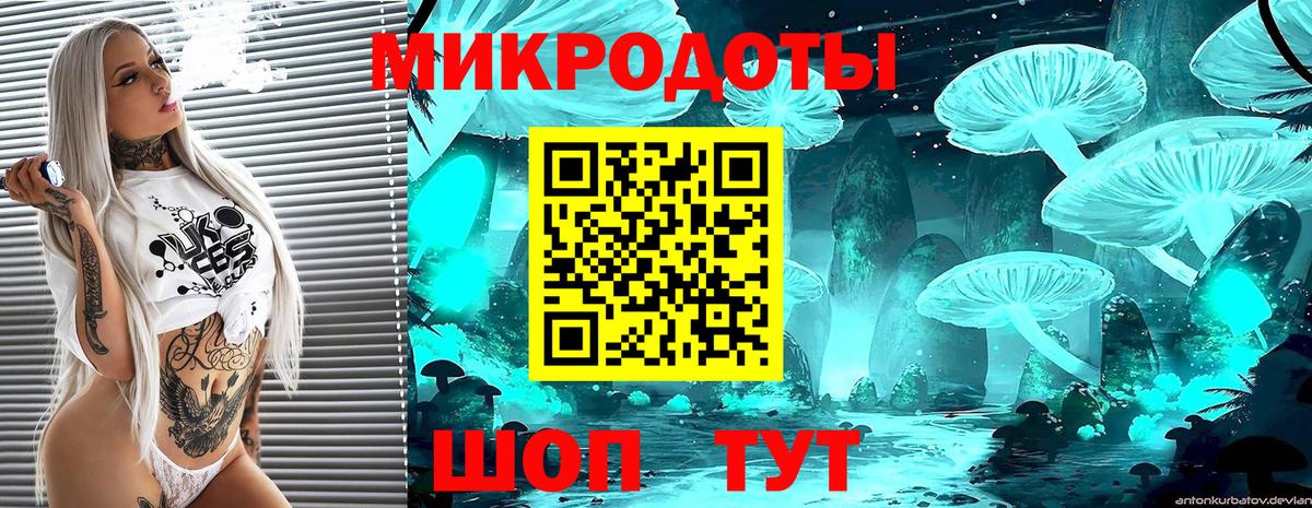 Туапсе  Галлюциногенные грибы Cubensis  Вход с VPN 