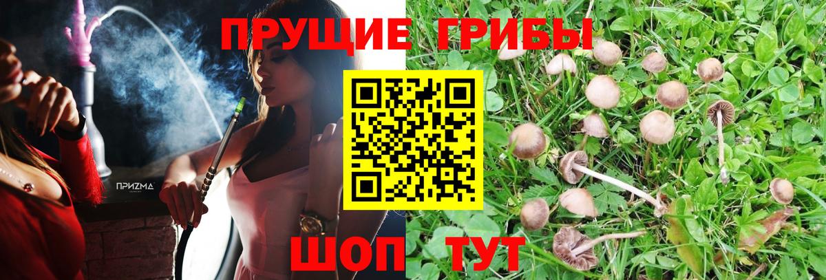 Меф Туапсе