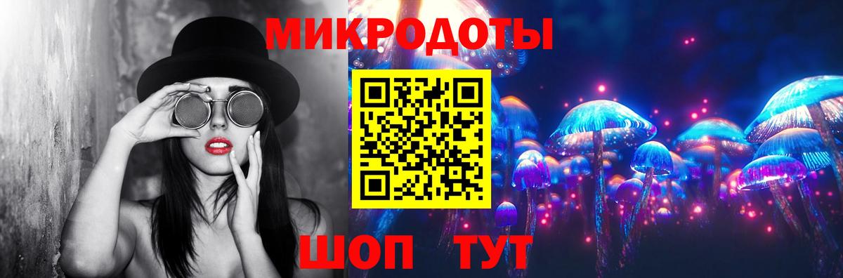 Псилоцибиновые грибы Psilocybe Туапсе